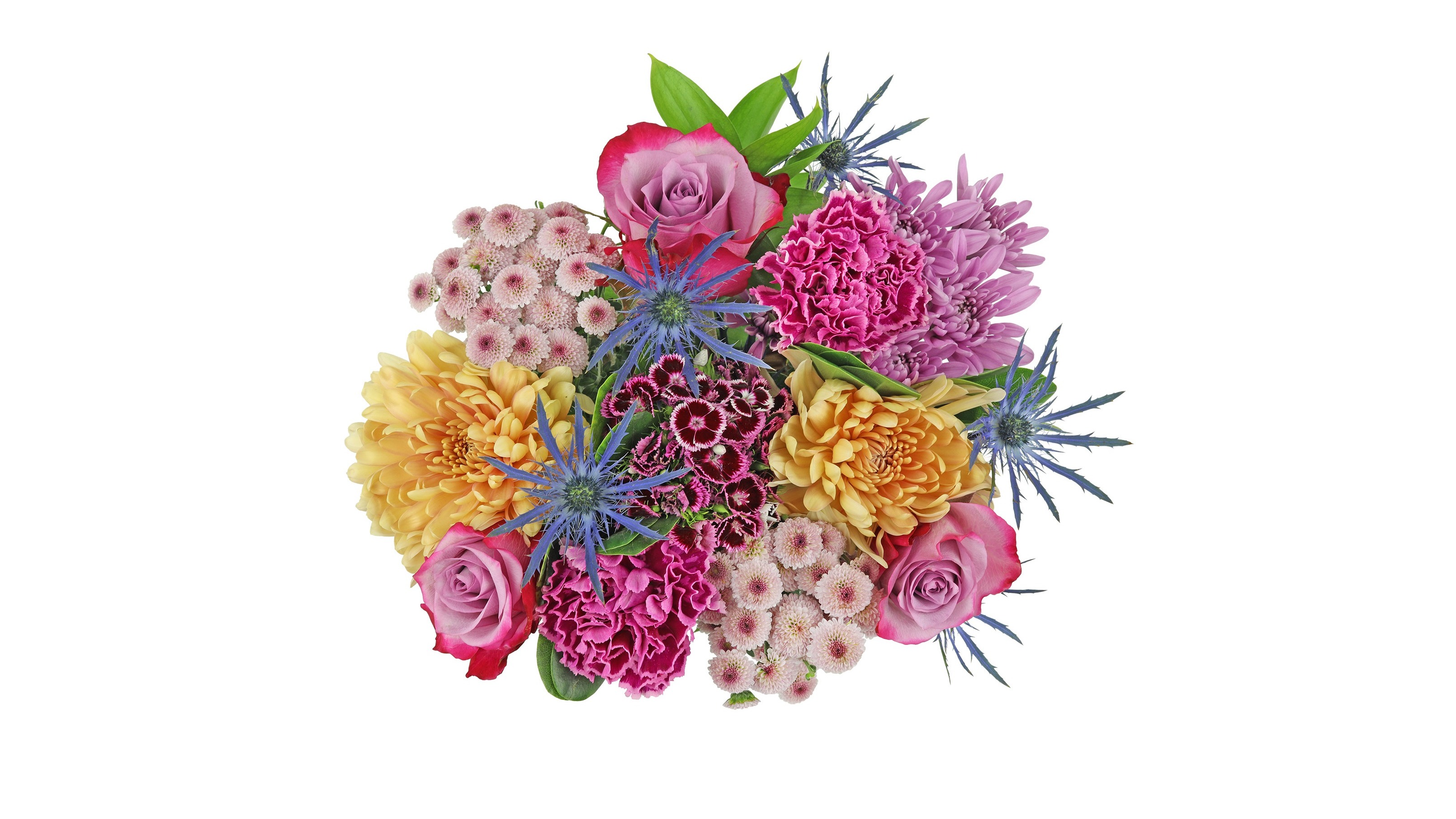 Graduation Flower Leis Safeway Best Flower Site