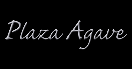 Plaza Agave (Youngstown Warren Rd) 